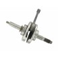 YX140 / Zongshen 140 crankshaft