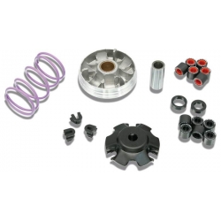 Variateur Malossi Multivar Kymco agility 125 • Motorkit